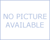 Tanning Bed Cylinder Piston Lift Arm (price varies)